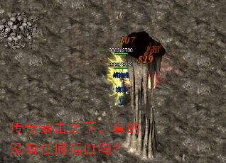 ���汩��֮�£����û���κλ����