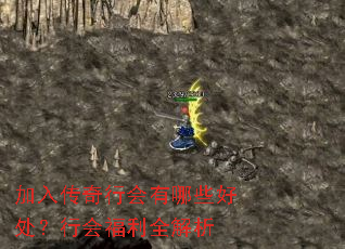 ���봫���л�����Щ�ô����лḣ��ȫ����