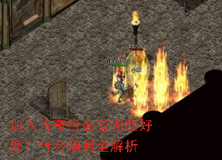 ���봫���л�����Щ�ô����лḣ��ȫ����