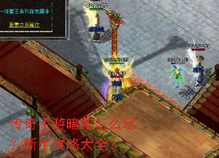 传奇手游暗殿怎么玩?新手攻略大全? 传奇手游暗殿怎么玩?新手攻略大全?