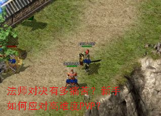 ��ʦ�Ծ��ж�ʹ�ࣿ�������Ӧ�Ը��Ѷ�PVP��