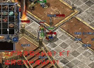 ��ʦ�Ծ��ж�ʹ�ࣿ�������Ӧ�Ը��Ѷ�PVP��