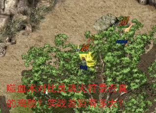 噬血术对比灵魂火符是否真的鸡肋?实战差距有多大? 噬血术对比灵魂火符是否真的鸡肋?实战差距有多大?