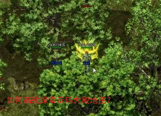 ��θ�Ч̽���������ͼ��