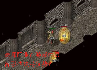 ��ʦְҵ����Ϸ�о߱���Щ�������ƣ�