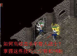 ��θ�Ч��ɱ������սʿ��������Щ��������������ʤ