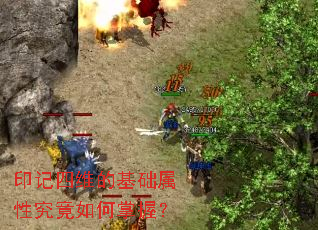 印记四维的基础属性究竟如何掌握? 印记四维的基础属性究竟如何掌握?