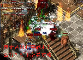 传奇初级打宝副本怎么打?新手必看攻略 传奇初级打宝副本怎么打?新手必看攻略