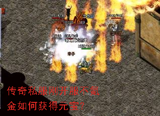 传奇私服刚开服不氪金如何获得元宝? 传奇私服刚开服不氪金如何获得元宝?