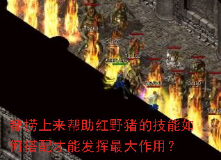 都捞上来帮助红野猪的技能如何搭配才能发挥最大作用? 都捞上来帮助红野猪的技能如何搭配才能发挥最大作用?