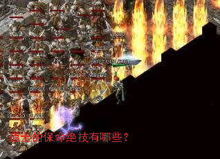 ��ʿ�ı�����������Щ��