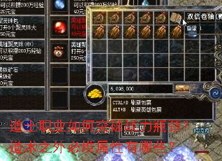 道士职业如何突破战力瓶颈?道术之外必堆属性有哪些? 道士职业如何突破战力瓶颈?道术之外必堆属性有哪些?