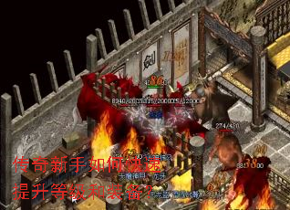 ����������ο��������ȼ���װ����