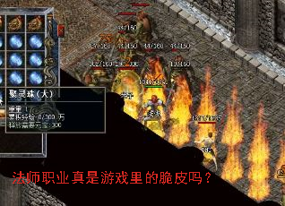 法师职业真是游戏里的脆皮吗? 法师职业真是游戏里的脆皮吗?