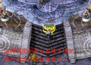 �������ɲ�����������������Լӳɴ�����ǿ��ɫ��