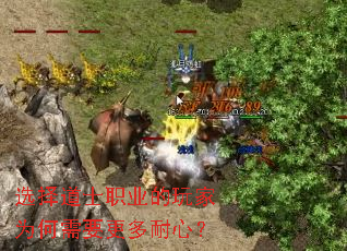 选择道士职业的玩家为何需要更多耐心? 选择道士职业的玩家为何需要更多耐心?