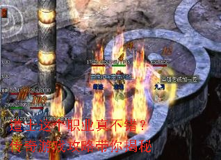 ��ʿ���ְҵ�治����������Ϸ���Դ������