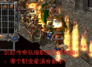 ���ٴ���˽��ְҵѡ��ָ�ϣ��ĸ�ְҵ���ʺ����֣�