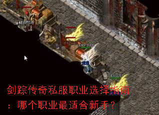 ���ٴ���˽��ְҵѡ��ָ�ϣ��ĸ�ְҵ���ʺ����֣�