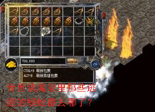 传世镇魔录里那些逃跑的蜈蚣都去哪了? 传世镇魔录里那些逃跑的蜈蚣都去哪了?