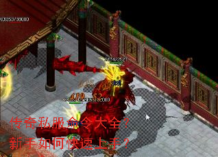 ����˽�������ȫ��������ο������֣�