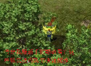 ����˽������ǰ�ڱؿ�����Щ�淨�������������