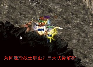 Ϊ��ѡ��սʿְҵ���������ƽ���