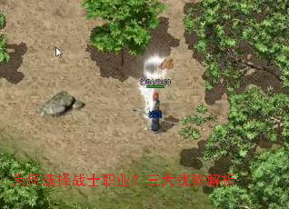 Ϊ��ѡ��սʿְҵ���������ƽ���