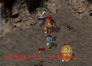 Ϊ��ѡ��սʿְҵ���������ƽ���