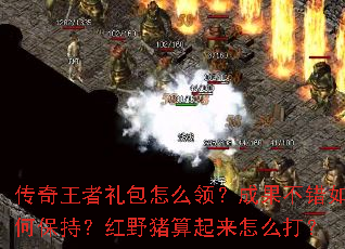 �������������ô�죿�ɹ�������α��֣���Ұ����������ô��