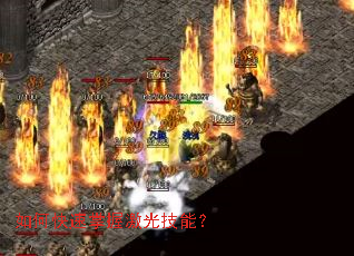 ��ο������ռ��⼼�ܣ�