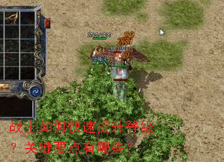 սʿ��ο��������ȼ����ؼ�Ҫ������Щ��