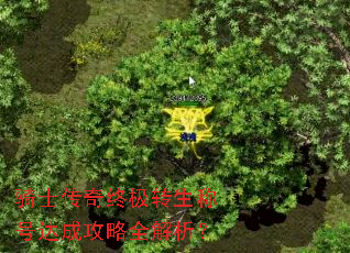 ��ʿ�����ռ�ת���ƺŴ�ɹ���ȫ������