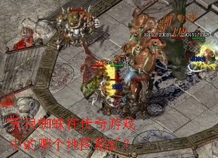 ����֩���ڴ�����Ϸ�е��ĸ���ͼˢ�£�