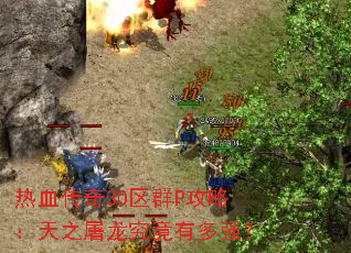 ��Ѫ����30��ȺP���ԣ���֮���������ж�ǿ��