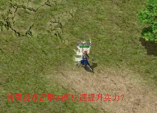 ������Ϸ������ο�������ʵ����