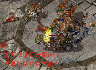 ��ο�������Ӱ�ȴ�˵�������ɫ�ȼ���