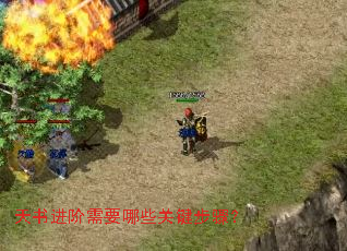 天书进阶需要哪些关键步骤? 天书进阶需要哪些关键步骤?