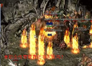 ��ְҵ�������ڻ���������