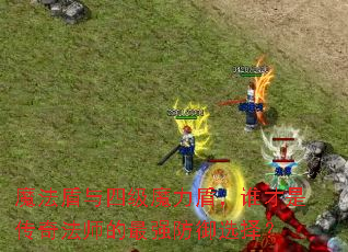 魔法盾与四级魔力盾,谁才是传奇法师的最强防御选择? 魔法盾与四级魔力盾,谁才是传奇法师的最强防御选择?