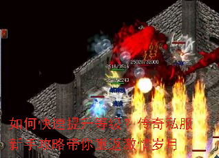 ��ο��������ȼ�������˽�����ֹ��Դ����ط���������