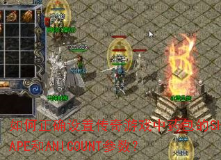 �����ȷ���ô�����Ϸ��ҩ����SHAPE��ANICOUNT������