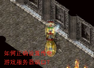 �����ȷ���ô�����Ϸ�������˿ڣ�