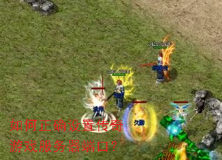 �����ȷ���ô�����Ϸ�������˿ڣ�