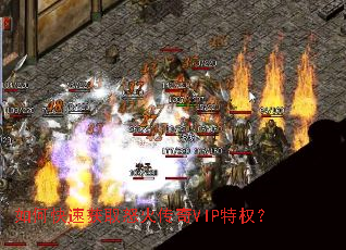 如何快速获取怒火传奇VIP特权? 如何快速获取怒火传奇VIP特权?