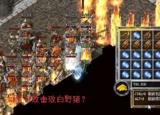 �����Ч���ܰ�Ұ����