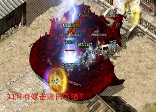 �����Ч���ܰ�Ұ����