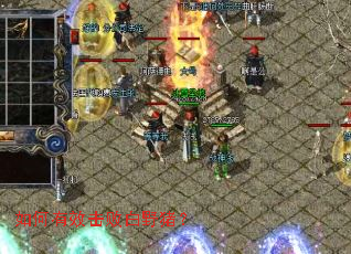 �����Ч���ܰ�Ұ����