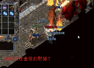 �����Ч���ܰ�Ұ����