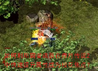 ������ð��߻����ڳ��´�˵2�п����������Գ�ΪУ�����㣿